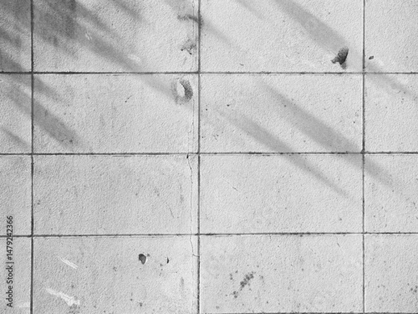 Fototapeta Background shadow white light line wall floor backdrop overlay mockup summer sunight overlay nature on room cement abstract blur muckup effect grey minimal platform for presentation product
