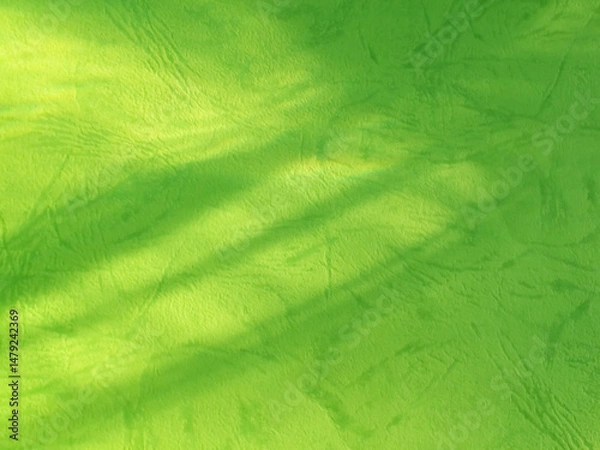 Fototapeta Background green abstract line shadow overlay on cement wall floor beige mockup product cosmetic summer tropical nature presentation frame template eco backdrop environment