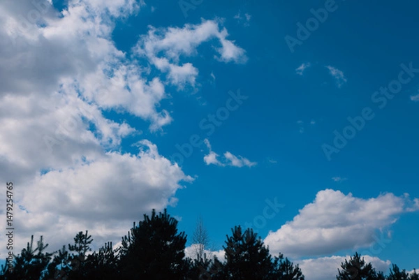 Obraz Blue sky and clouds in sunny day. Clear blue sky with faint, fluffy white clouds scattered lightly.