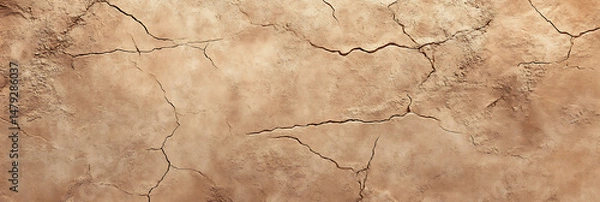 Fototapeta Cracked Dry Earth Texture Background