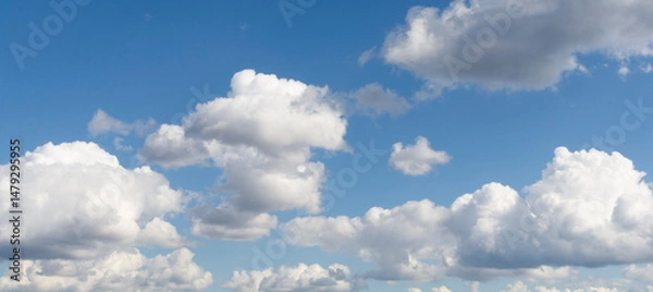 Fototapeta Clear blue sky with white-gray clouds. Cumulus clouds on blue sky