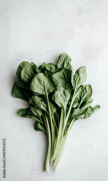Fototapeta Realistic Photo of Fresh Spinach Bunch Isolated on White Background with Natural Color and Detail for Healthy Food and Organic Product Design Use