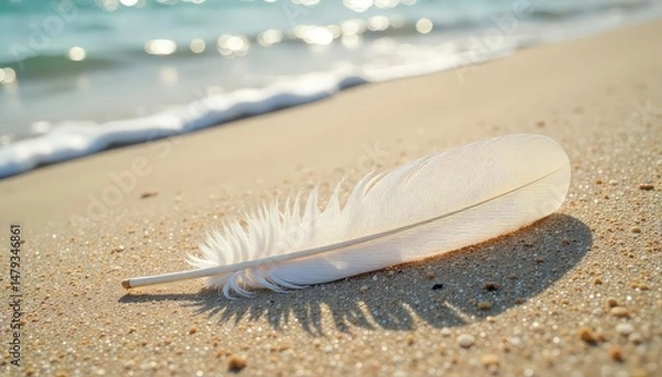 Obraz White feather lies on sandy beach, gentle waves nearby, sea, coast, brown