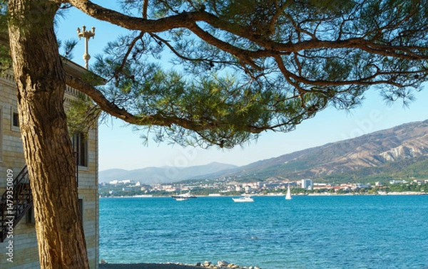 Obraz Beautiful coast with tree framing view. In distance Gelendzhik city nestles against rolling hills. Calm sea features sailboat and larger vessel. The clear blue sky enhances the tranquil atmosphere