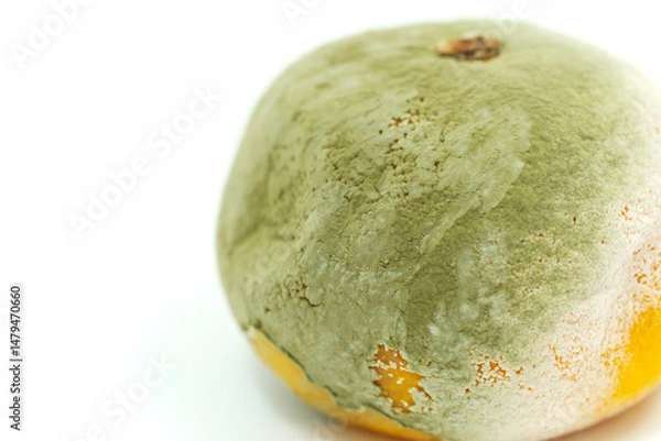 Obraz Spoiled tangerine with mold on a white background.