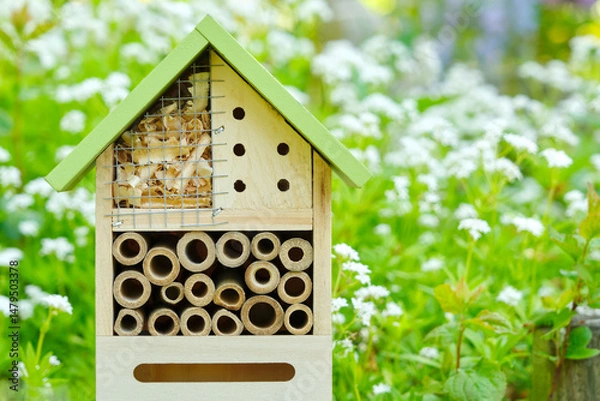 Fototapeta An insect hotel or bee hotel in a summer garden with flowers. An insect hotel is a manmade structure created to provide shelter for insects in a variety of shapes and sizes and materials.	