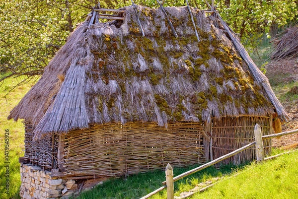 Fototapeta Ukrainian village house with a thatched roof covered with moss walls made of woven vines