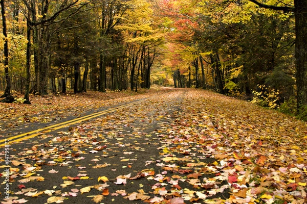 Fototapeta Beautiful Fall road with golden leaves laying in the road