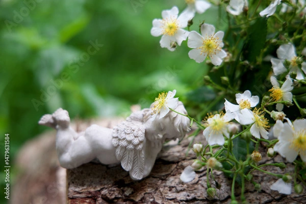 Obraz 白い野バラと眠る天使