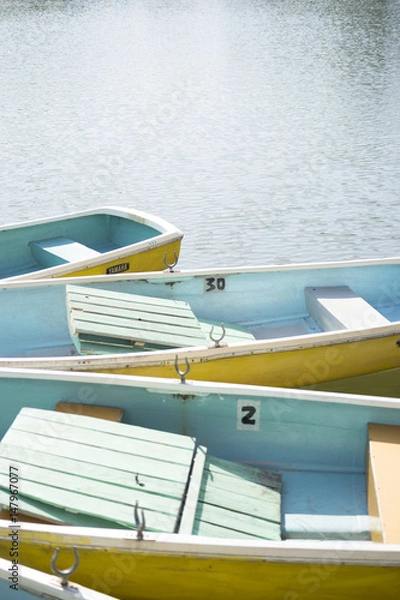 Obraz 公園のボート