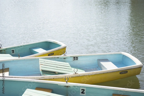 Obraz 公園のボート