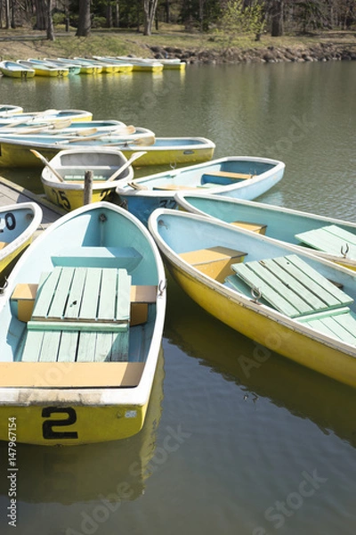 Fototapeta 公園のボート