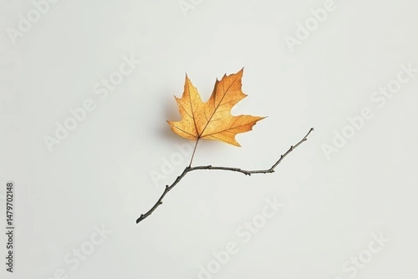 Obraz A single autumn leaf rests delicately on a bare twig against a plain background, embodying simplicity and natural decay.