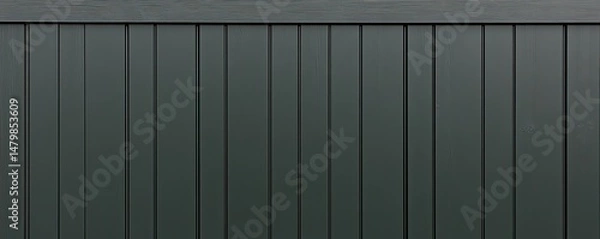 Fototapeta Dark gray vertical panel siding