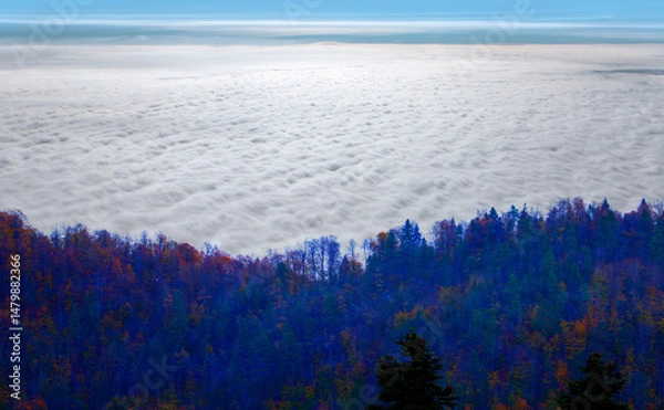 Obraz View from above of amazing foggy mountains in autumn season - Aerial view of autumn forest over the clouds - Yedigoller , Turkey - Autumn landscape in (seven lakes) Yedigoller Park Bolu, Turkey