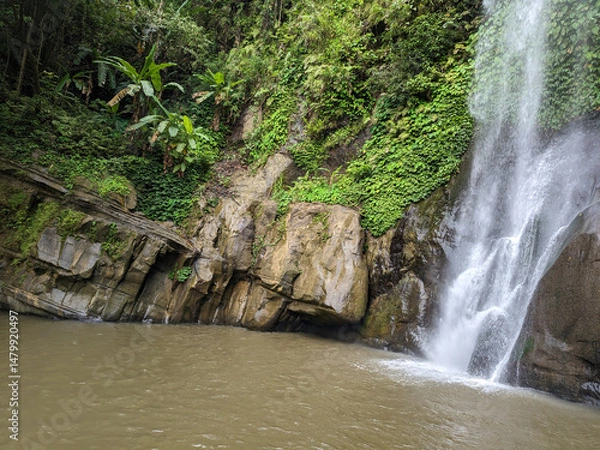 Fototapeta Tropical Waterfall Flowing into Jungle pool