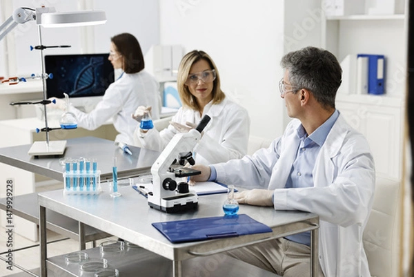 Obraz Scientists working with samples at table in laboratory