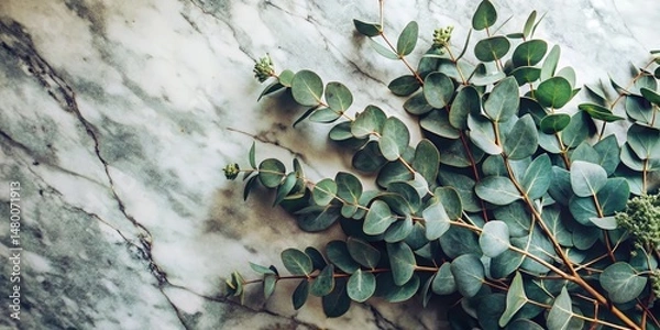 Obraz A Cluster of Eucalyptus Leaves on a Marbled Surface, Displaying the Beauty of Nature's Simple Elegance