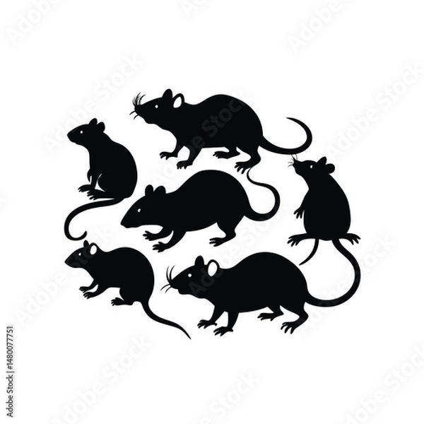 Fototapeta vector illustration of a silhouette of a rat on white background.