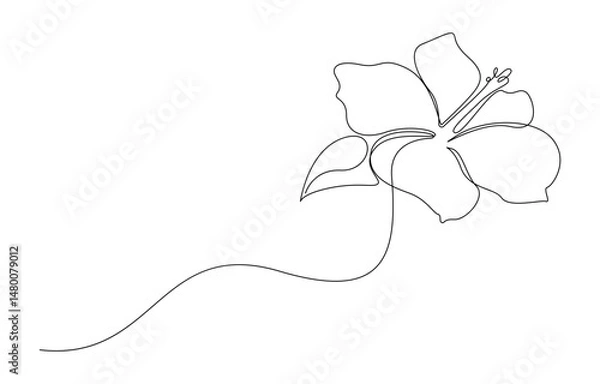 Obraz Hibiscus Flower Single Line Drawing,