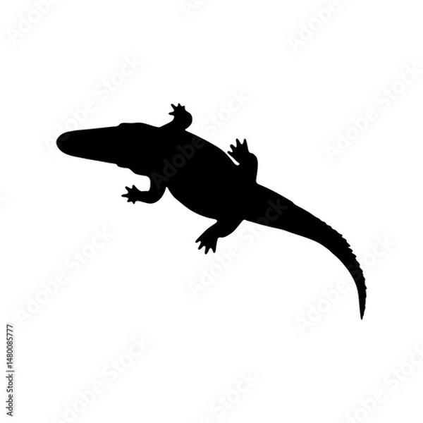 Obraz crocodile icon silhouette, wild animal symbol illustration. Linear style sign for mobile concept design. crocodile shape logo illustration. Vector graphics
