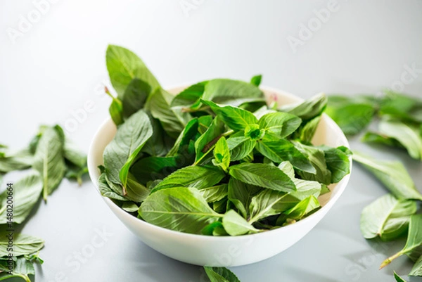 Fototapeta Composition with fresh mint on gray surface from above