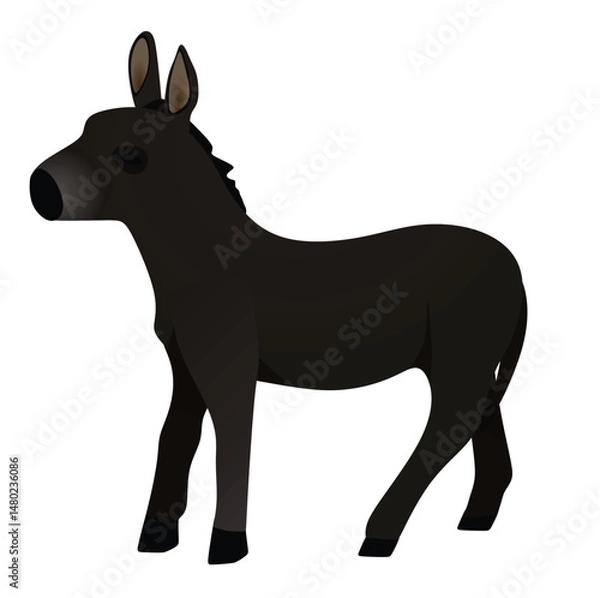 Obraz Domestic donkey isolated. vector illustration