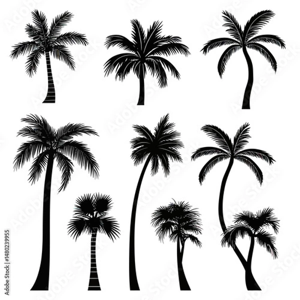 Fototapeta Set of diverse black palm tree silhouettes with detailed fronds isolated on white background in flat minimalist vector style for tropical design elements and summer themes