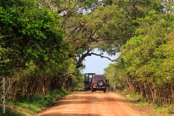 Obraz Landscape with road and SUVs in Yala National Park