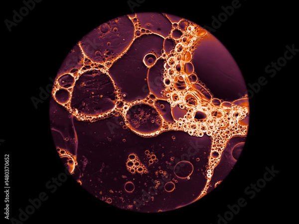 Fototapeta microscopy colorful abstract science background