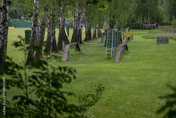Fototapeta Outdoor dog training area on the lawn.
