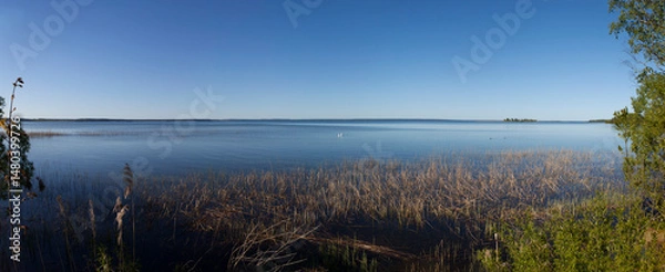 Fototapeta North-eastern part of Lake Naroch. Panorama. Myadel district. Minsk region. Belarus