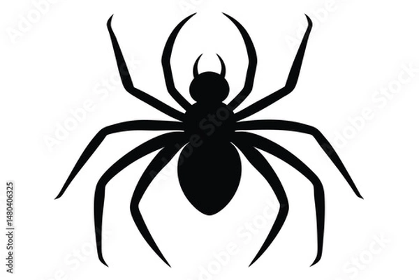 Fototapeta spider on a white background