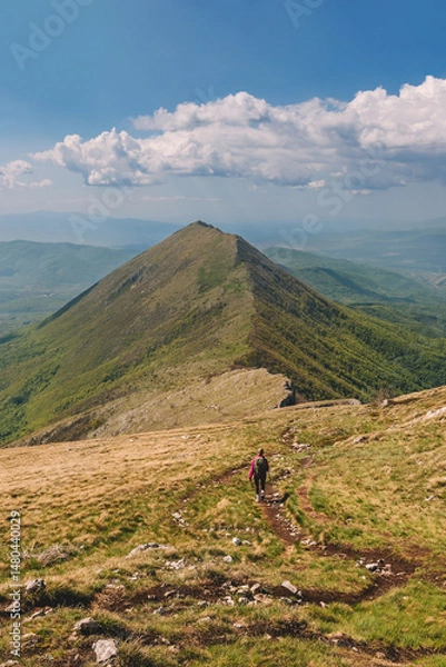 Fototapeta Woman Hikes on Mountain Path with Travel Backpack