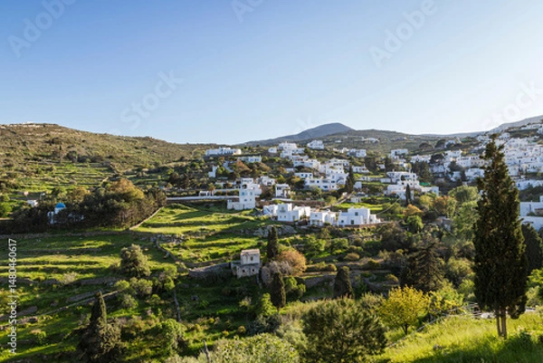 Fototapeta White buildings scattered on a lush hillside in the idyllic village of Lefkes on Paros island in Greece under a clear blue sky on a sunny day.