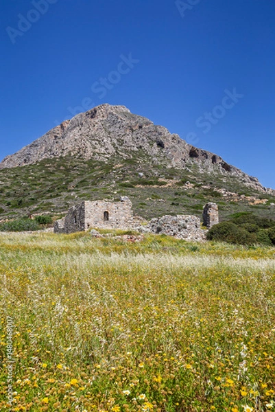 Fototapeta Old ruins of the Early Christian Basilika of Ayios Vassilios in a flowering meadow on a sunny spring day on Telendos island in Greece.