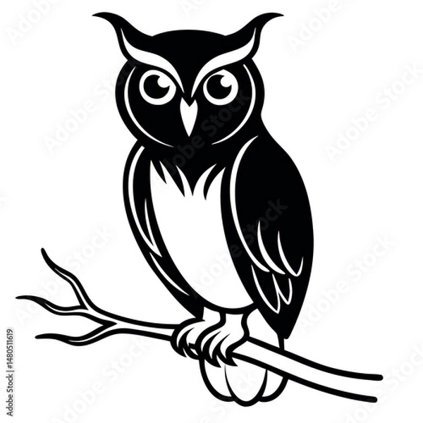 Fototapeta Cute black and white owl perched on a branch.