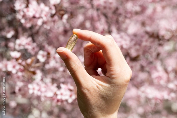 Fototapeta Closeup of a vitamin D capsule with cherry blossom in the background. Concept of supplementing vitamin D in spring. 