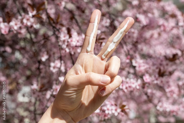 Fototapeta A person applying the correct amount of sunscreen for the face and neck – two finger lengths, with cherry blossom trees in the background. Concept of applying sunscreen in spring. 