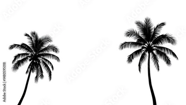 Obraz palm tree on white background