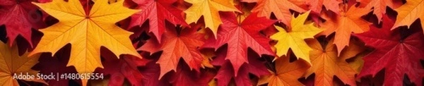 Fototapeta Intricate cutout of vibrant fall maple leaf, rich colors , fall foliage, pattern