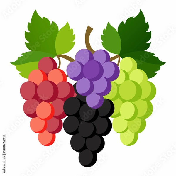 Fototapeta bunch of red grapes Vector icon illustration silhouette Graphics design image white background
