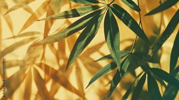 Fototapeta Green leaf sunlight shadow background texture design nature botanical