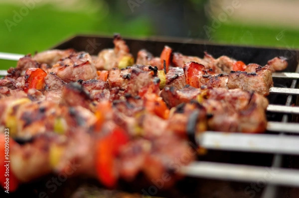 Fototapeta Grilled Meat Skewers with Colorful Vegetables Tantalizing Cookout