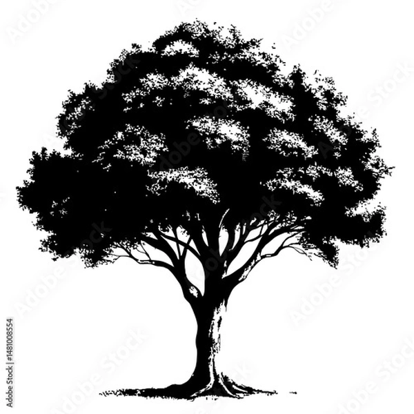 Obraz Vector Silhouette of a Tree with Round Crown on White Background