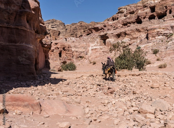 Obraz Bedouin man riding a donkey on trail to Ad Deir or the Monastery from Petra which is 1.6km and 800 steps