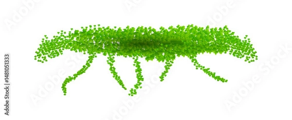 Fototapeta Vector of  green leaves of the Javanese treebine, also known as Grape Ivy  cascade elegantly as a jungle vine, with its hanging ivy like tendrils adding lush greenery to any environment, perfectly