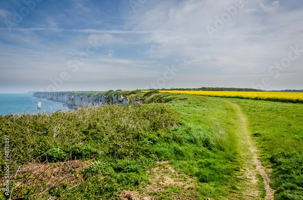 Fototapeta Yellow fields and coastlne in Normandy, hiking path