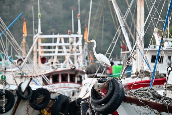 Fototapeta The egret stands motionless near the docked vessel, surrounded by soft reflections and evening hues. The harbor breathes in silence under the twilight sky.
