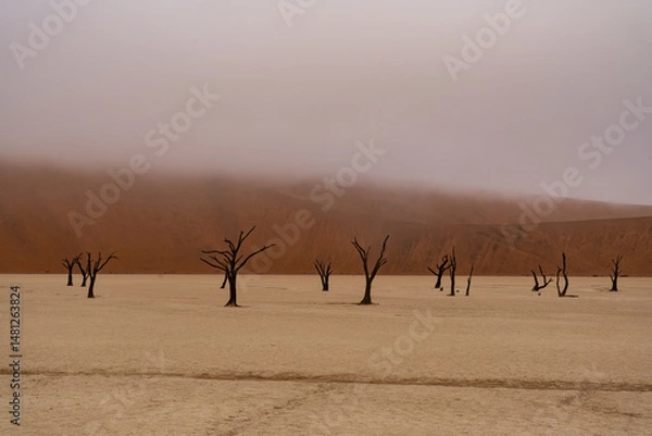 Fototapeta Dead Camelthorn Trees against red dunes and blue sky in Deadvlei, Sossusvlei. Namib-Naukluft National Park, Namibia, Africa